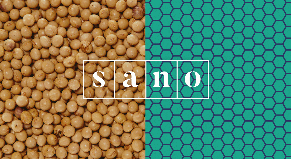 Sano食品品牌形象策略與企業vi設計,食品logo設計